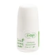 Organische Olivenblatt Deodorant Roll-On ohne Aluminium | 60ml