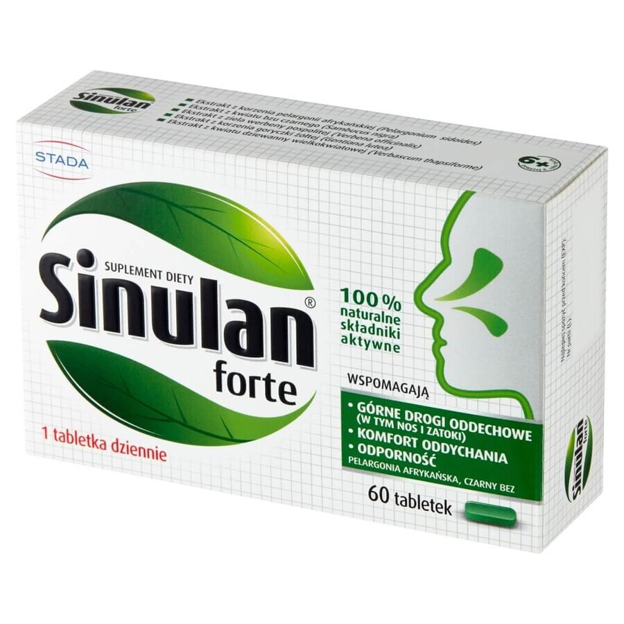 Sinulan Forte 60 Tabletten