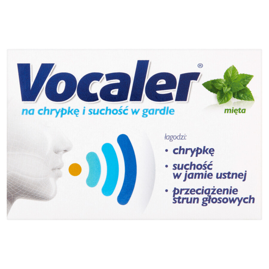 Vocaler, Minze, 12 Tabletten