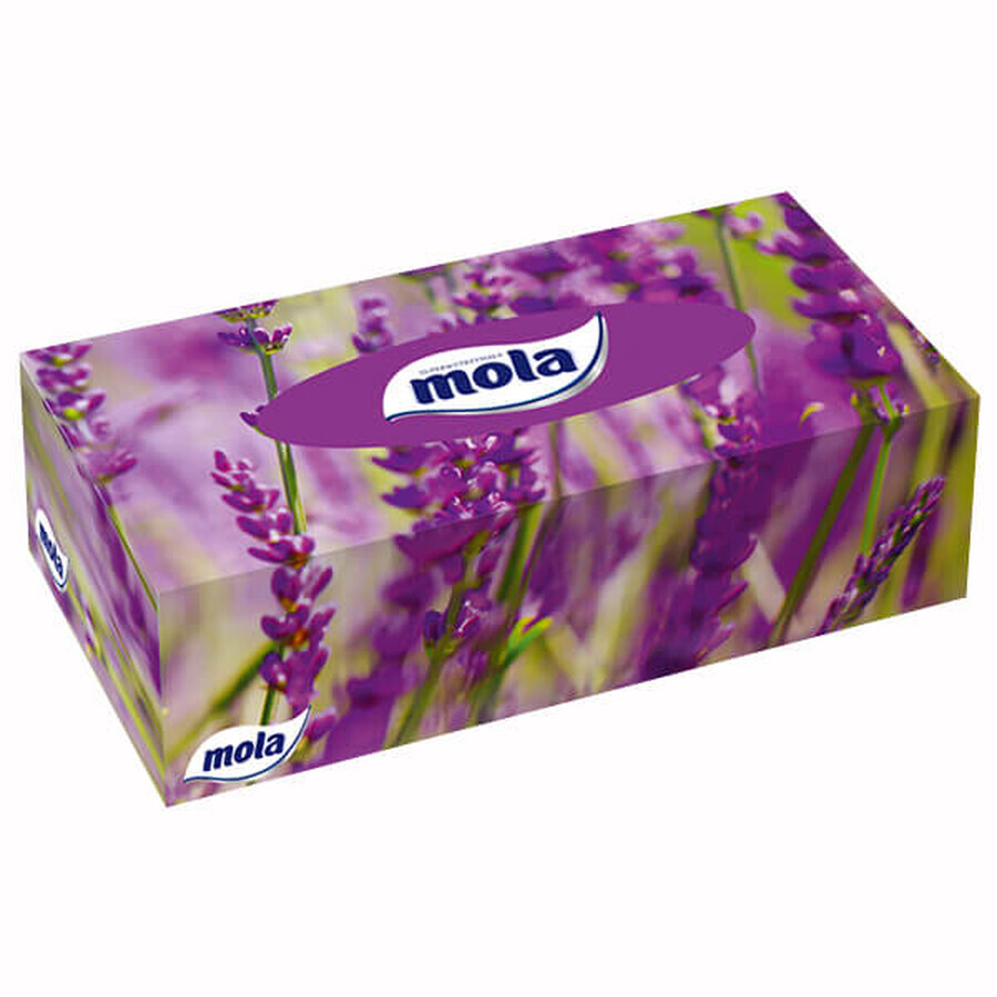 Mola Big Box, șervețele faciale, 120 bucăți