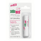 Dermatologisch sch&#252;tzender Lippenbalsam mit SPF 30, 4,8 g, Sebamed