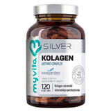 MyVita Silver Collagen Arthro 120 Kapseln - Langfristig!