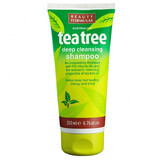 Schönheitsformeln, Reinigendes Haarshampoo mit Teebaum, 150 ml.