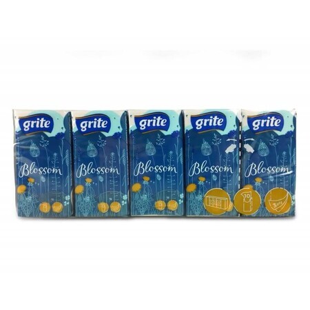 Mola, Tropisch, Hygienetücher, 10 Packungen