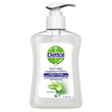 Dettol Sanft Reinigende Flüssigseife mit Aloe Vera  amp; Vitamin E, 250ml