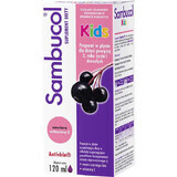 Sambucol Kids, liquid for children over 3 years of age and adults, 120 ml