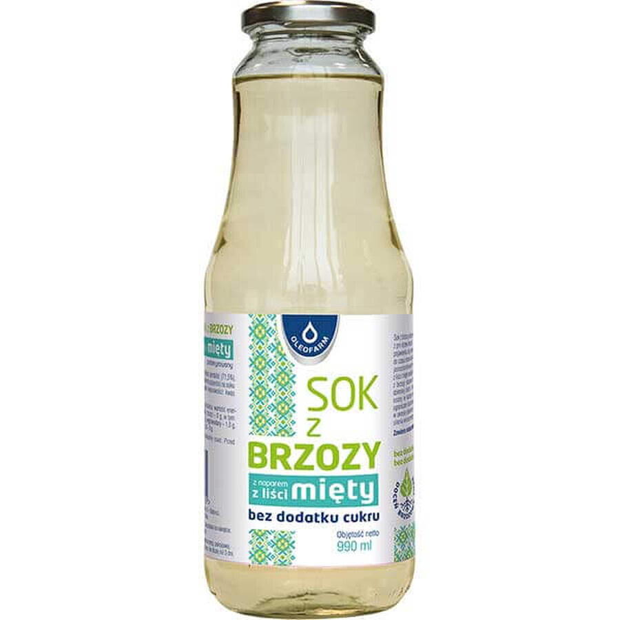 Birkenblatt Extrakt mit Pfefferminztee, 990ml - Kräutergetränk aus Birken  amp; Pfefferminze