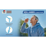 Doppelherz System Kollagen 11.000 Plus, 30 Ampullen x 25 ml,  Queisser Pharma 