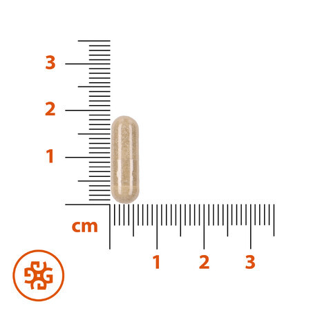 Mbrace Menopause, 30 Kapseln SHORT DATE