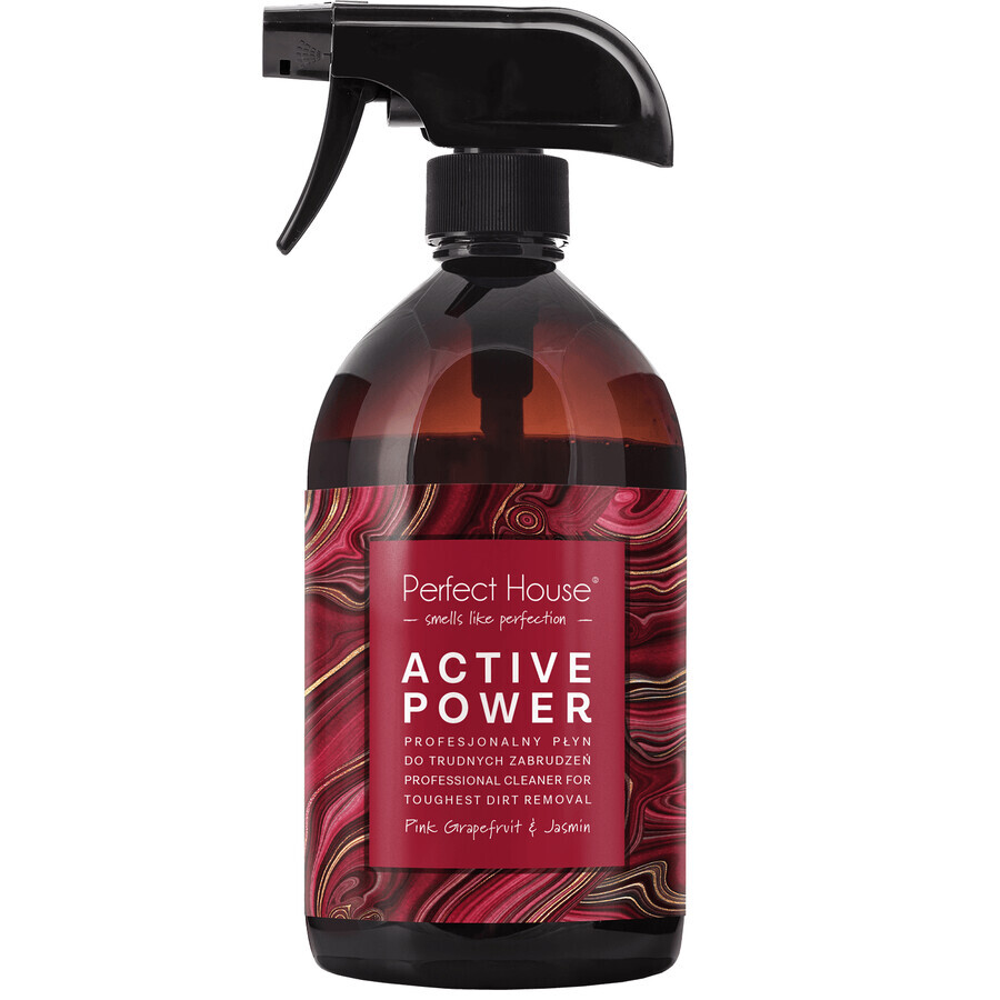 Perfect House Active Power, lichid pentru murdărie puternică, 480 ml