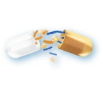 Linex Forte 28 capsule - Formula potenziata per il corretto equilibrio della flora batterica intestinale