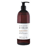 Ziaja Baltic Home Spa Wellness, gel de ducha, 500 ml