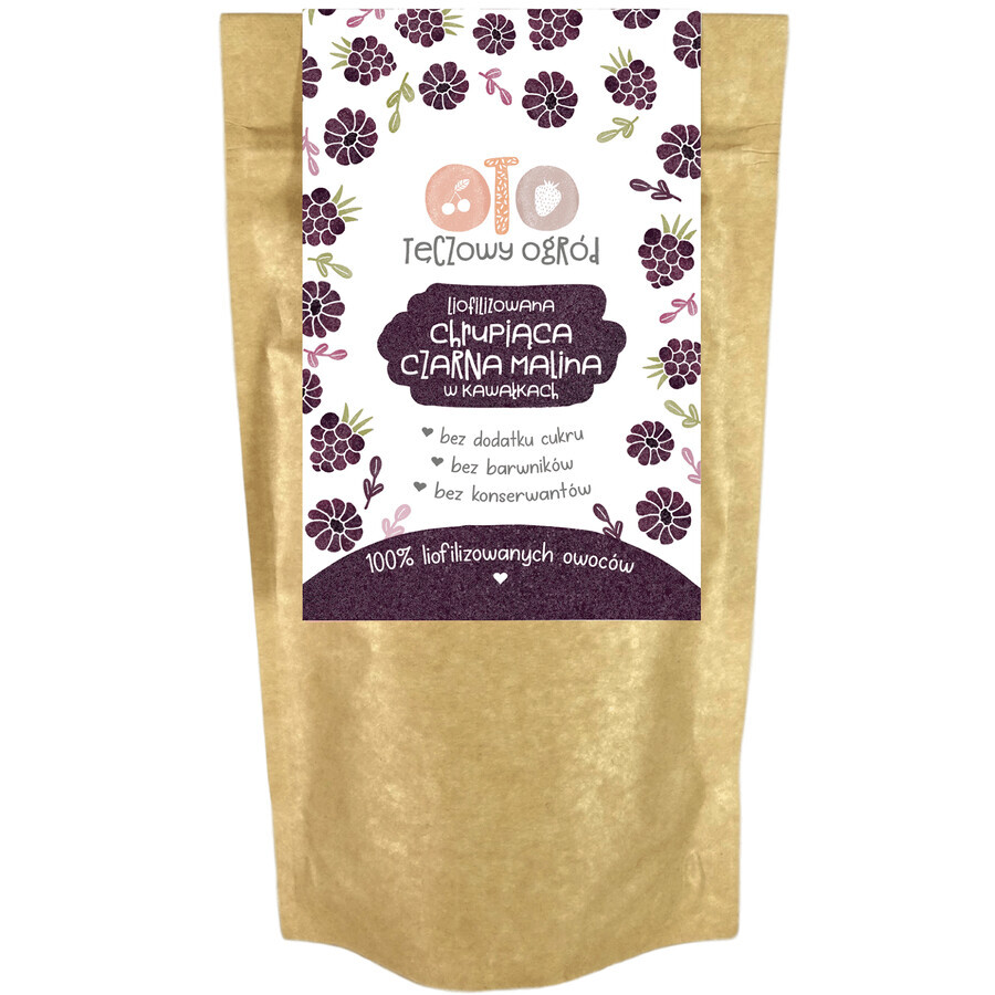 OtoLandia OTO Rainbow Garden Crunchy freeze-dried black raspberry, in pieces, 20 g