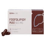 SEMA Lab Phospholipids Max 600 mg, 30 capsules