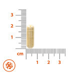 SEMA Lab Ciclo, 30 cápsulas