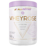 Allnutrition Alldeynn WheyRose, Schokolade-Haselnuss-Geschmack mit zuckerfreien Keksstücken, 500 g