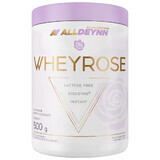 Allnutrition Alldeynn WheyRose, Keksgeschmack mit zuckerfreien Keksstücken, 500 g