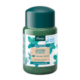 Kneipp Goodbye Stress Rosemary and Mint Mineral Bath Salt Crystals 500g