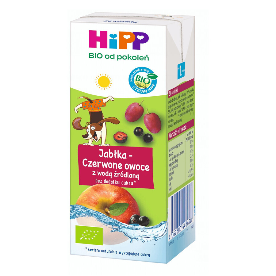 HiPP Bio drink, appel-rood fruit met bronwater, zonder toegevoegde suiker, vanaf 1 jaar, 200 ml