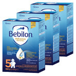 Set Bebilon Advance Pronutra 5 Junior, formula nutriente a base di latte, per bambini in età prescolare, 3 x 1000 g