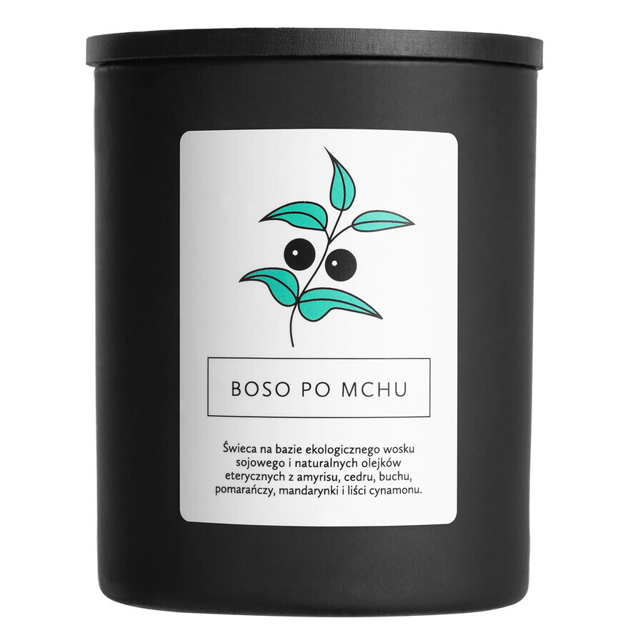 Hagi Boso po Mchu, bougie de soja, 230 g