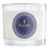 Flagolie, aromatherapy candle made of soy, eucalyptus, 170 g