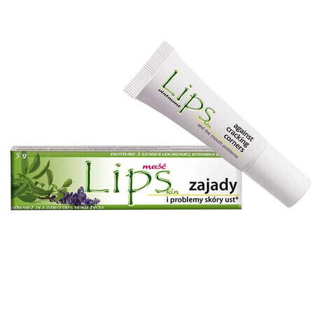 Lipskin Plus, Salbe für Mundhöhlen und Hautprobleme, 7 g