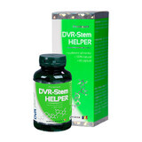 DVR-Stem Helper, 60 Kapseln, Dvr Pharm