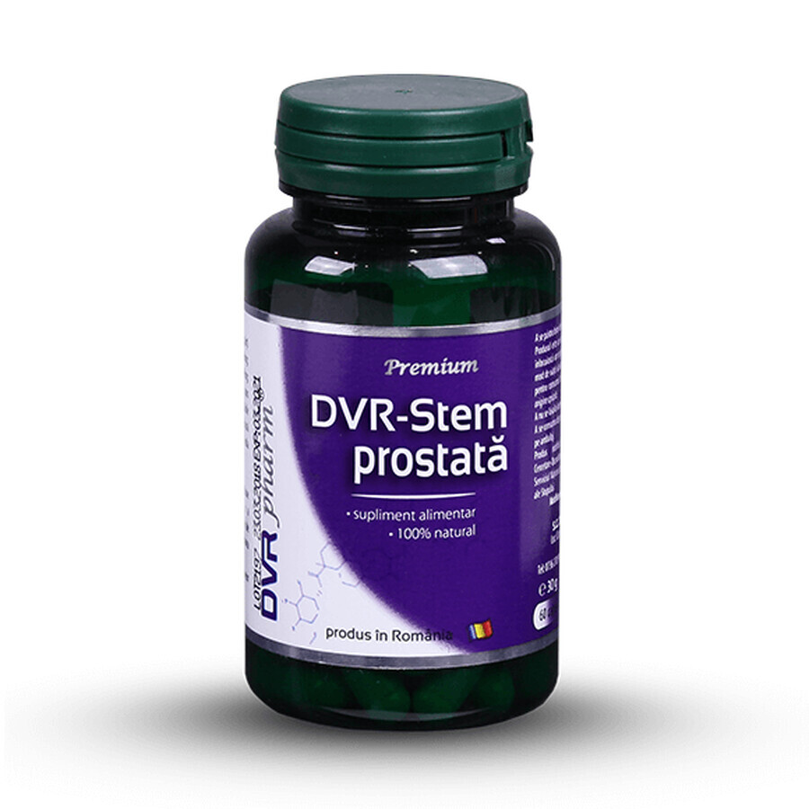 DVR-Stem Prostata, 60 Kapseln, Dvr Pharm