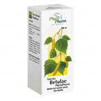 Succus Betulae Phytopharm 2,33 g/ 2,5 ml, lichid oral, 100 ml