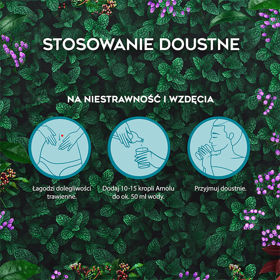 Amol, loțiune orală și pentru piele, 100 ml