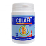 GorVita Colafit, 60 Würfel