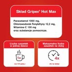 Gripex Hot Max 1000 mg + 100 mg + 12,2 mg, 8 sachets