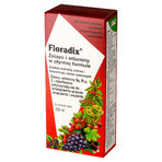 Floradix Eisen Vitamine, 250 ml