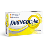 Faringocalm Lamaie 3 mg, 12 pastile, Terapia