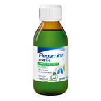 Flegamina Classic sabor menta sin azúcar 4 mg/ 5 ml, jarabe, 120 ml