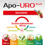 Apo-URO Plus, 30 Kapseln