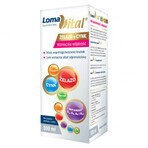 Loma Vital Eisen + Zink, flüssig, 500 ml