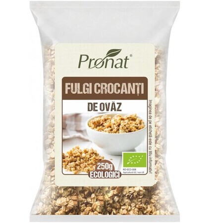 Fulgi crocanti Bio de ovaz, 250 g, Pronat