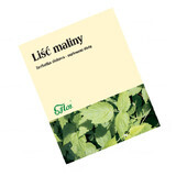 Flos Raspberry leaf, 50 g