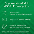 Vigor Up!, 30 Tabletten