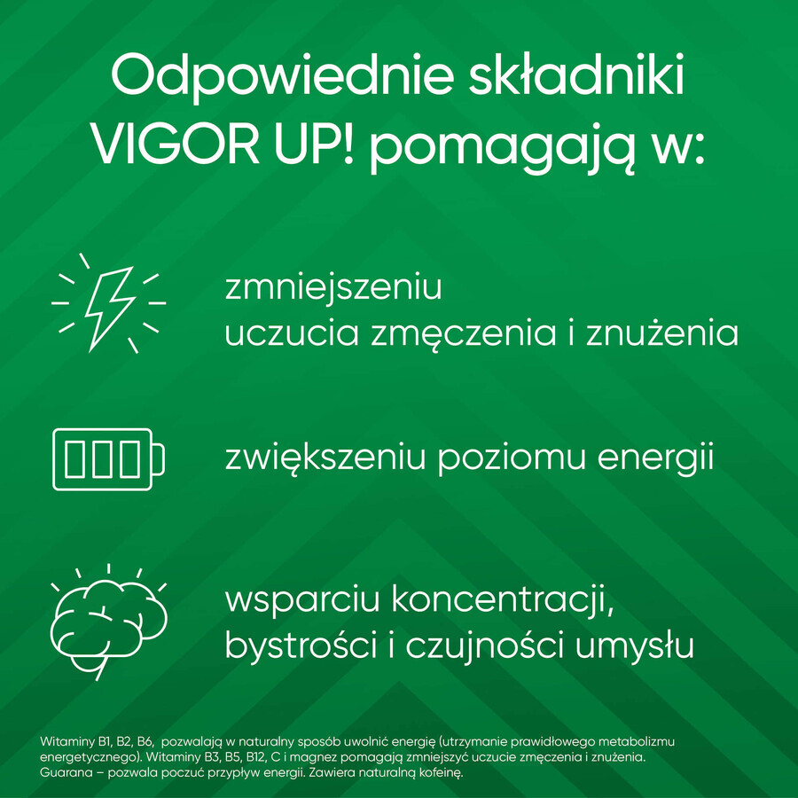 Vigor Up!, 30 Tabletten