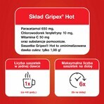 Gripex Hot 650 mg + 50 mg + 10 mg, 12 Portionsbeutel