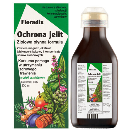 Floradix darmbescherming, 250 ml