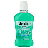 Dentica, mouthwash, Extra Fresh, 500 ml