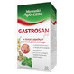 Gastrosan fix (1000 mg + 660 mg + 340 mg)/ 2 g, 20 Portionsbeutel