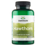 Swanson Hawthorn, Hawthorn and Fruit Extract, 120 Capsules