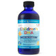 Nordic Naturals Children&#39;s DHA Omega-3, f&#252;r Kinder von 1-6 Jahren, Erdbeergeschmack, 237 ml