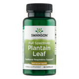 Swanson Full Spectrum Plantain Leaf, plantain, 60 capsule