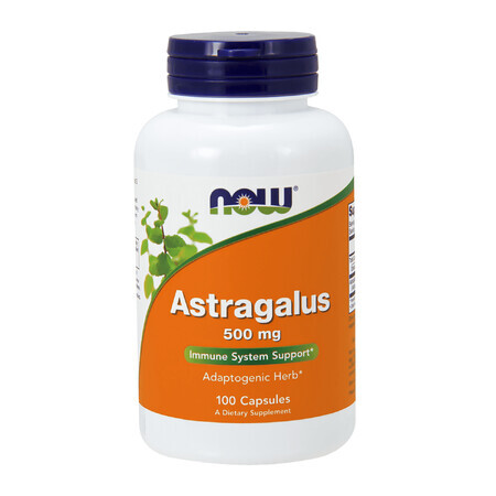 Now Foods, Astragalus 500 mg, 100 Kapseln